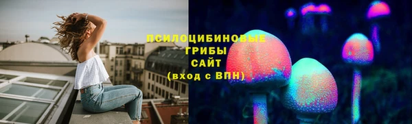 первитин Ельня