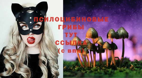 первитин Ельня
