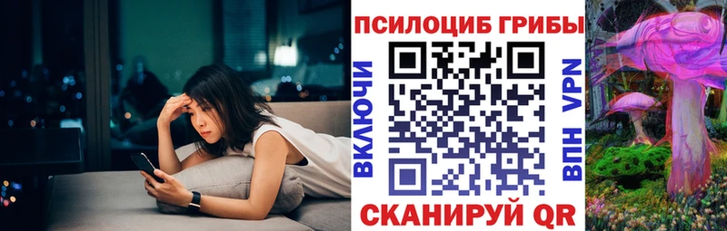 Псилоцибиновые грибы ЛСД  Купить закладки  Зерноград 